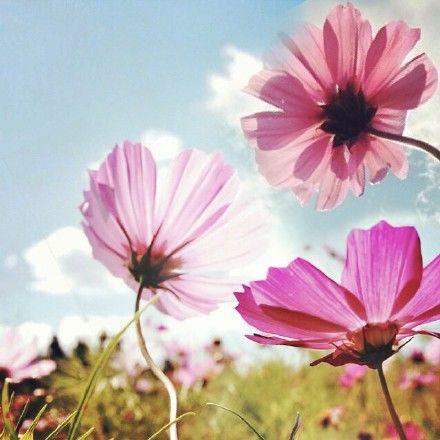 牽腸掛肚的不是地位，而是友情；苦苦追求的不是名利，而是幸福