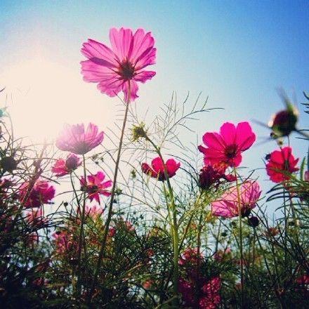 牽腸掛肚的不是地位，而是友情；苦苦追求的不是名利，而是幸福