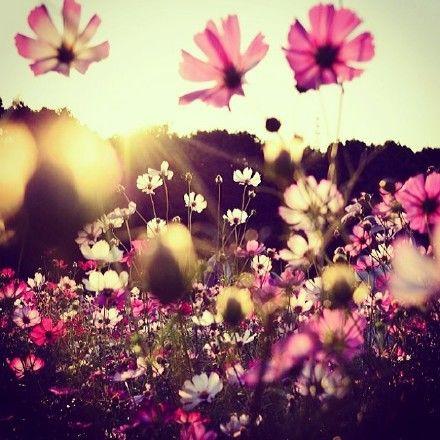 牽腸掛肚的不是地位，而是友情；苦苦追求的不是名利，而是幸福