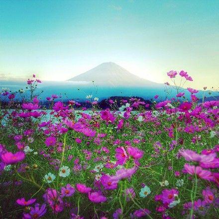 牽腸掛肚的不是地位，而是友情；苦苦追求的不是名利，而是幸福