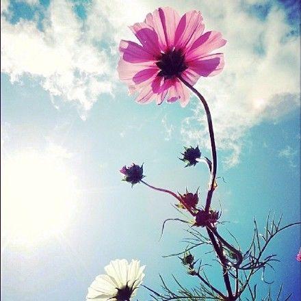 牽腸掛肚的不是地位，而是友情；苦苦追求的不是名利，而是幸福