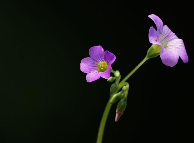 沉默，是兩個人之間最遙遠的距離