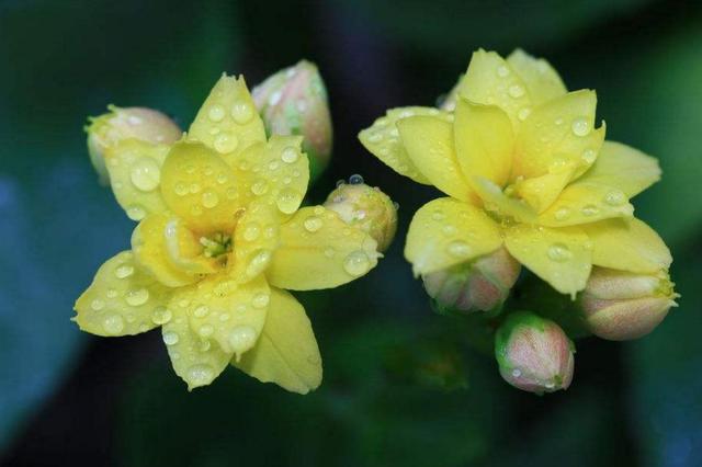 沉默，是兩個人之間最遙遠的距離