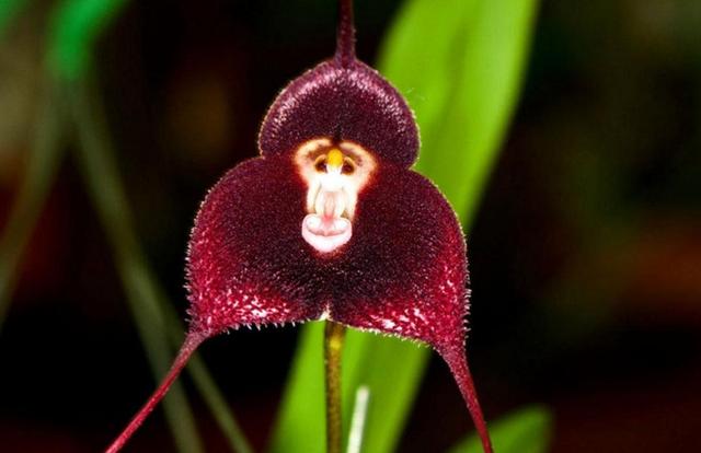 身邊的這幾種人,即使他們笑容再甜,我們也要繞道而行