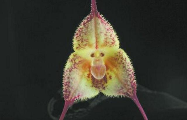 身邊的這幾種人,即使他們笑容再甜,我們也要繞道而行