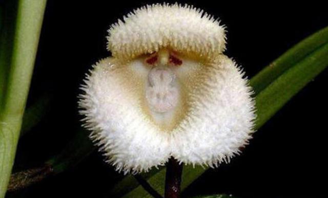 身邊的這幾種人,即使他們笑容再甜,我們也要繞道而行