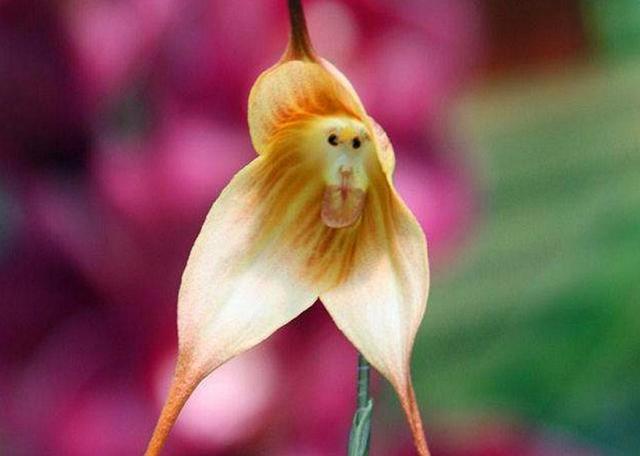 身邊的這幾種人,即使他們笑容再甜,我們也要繞道而行