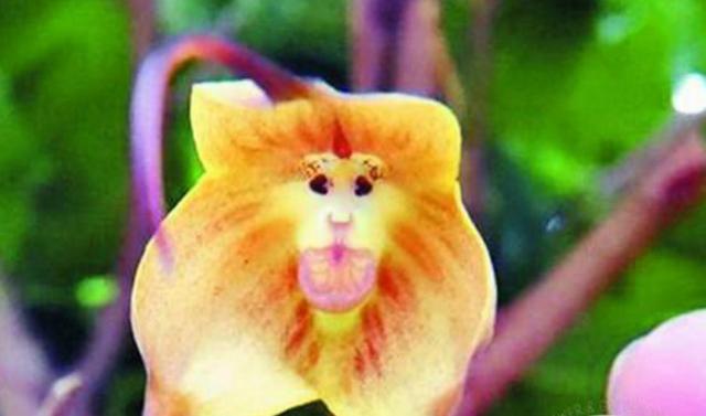 身邊的這幾種人,即使他們笑容再甜,我們也要繞道而行