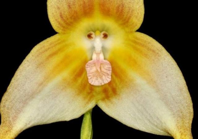 身邊的這幾種人,即使他們笑容再甜,我們也要繞道而行