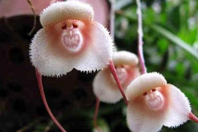 身邊的這幾種人,即使他們笑容再甜,我們也要繞道而行