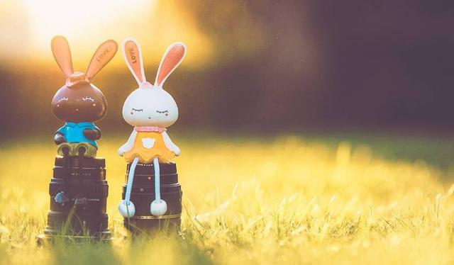 情商智商都很高,但卻不能正常發揮的星座