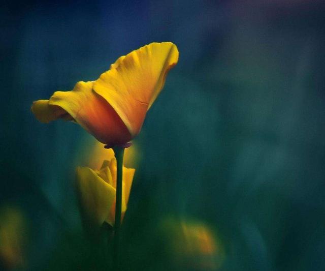 做事不爭,閒事不理,遇事不氣