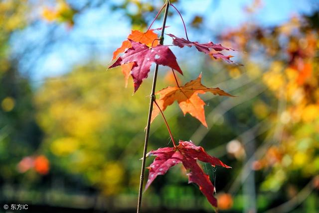 做事不爭,閒事不理,遇事不氣