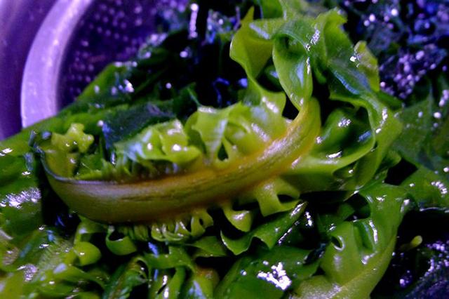 常吃這些菜不受血栓困擾，清理血管垃圾