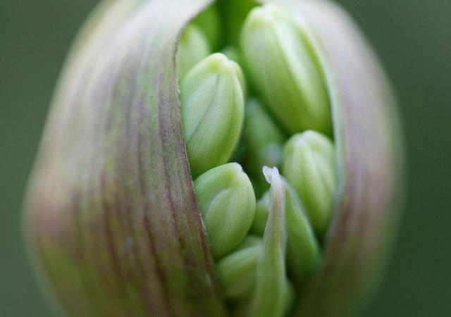 生命只有一次，請記得輕拿輕放