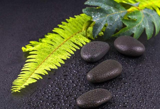 生命只有一次，請記得輕拿輕放