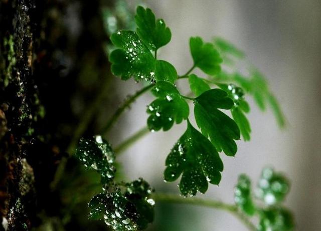 人窮，別哭，一切，靠自已