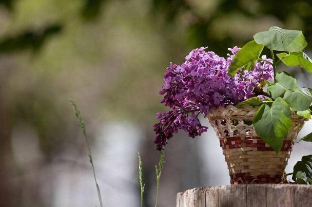 人到五十,別輕談愛情