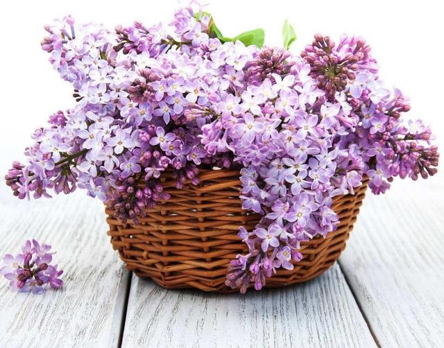 人到五十,別輕談愛情