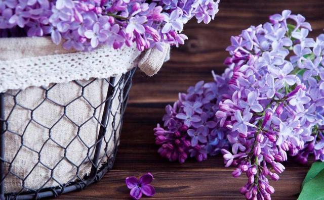 人到五十,別輕談愛情