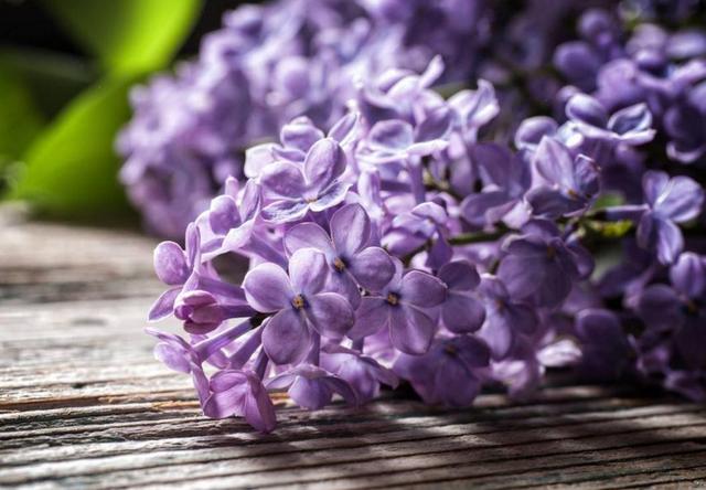 人到五十,別輕談愛情