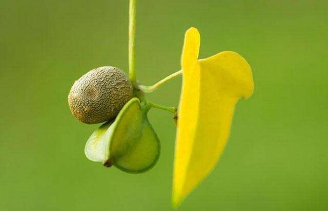 當你受人欺凌的時候,請記得這樣做