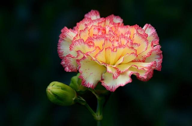 世間最強大的這三樣東西，看起來，都很弱小