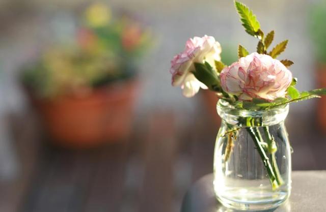 世間最強大的這三樣東西，看起來，都很弱小