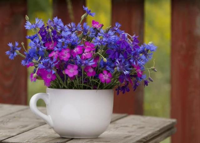 世間最強大的這三樣東西，看起來，都很弱小