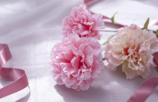 世間最強大的這三樣東西，看起來，都很弱小