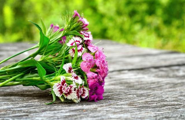 世間最強大的這三樣東西，看起來，都很弱小