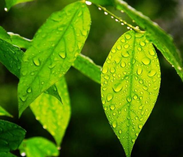 作為70後，日子不好受