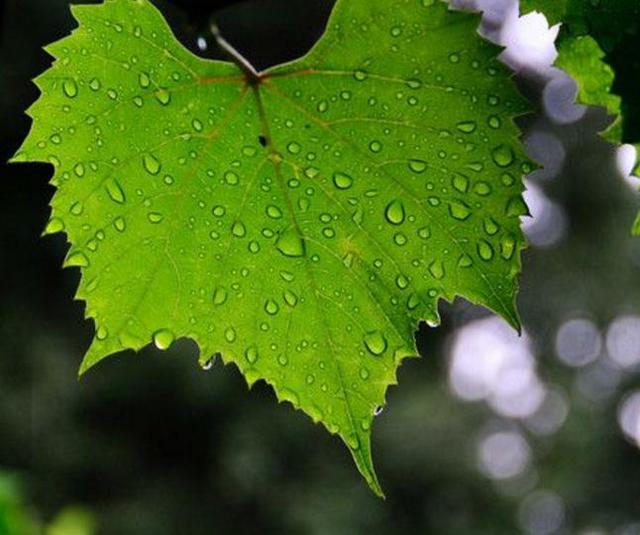 作為70後，日子不好受