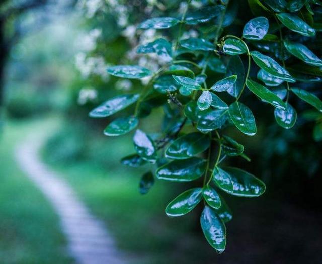 作為70後，日子不好受