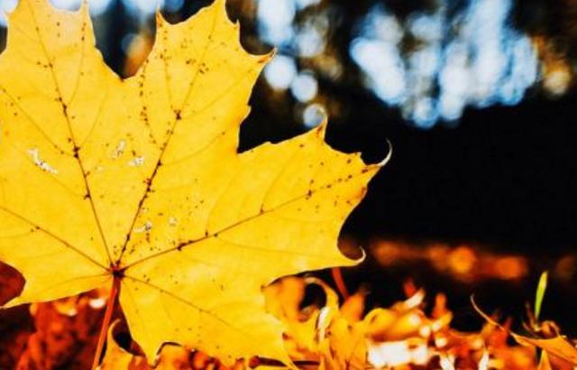 之所以有人不停的算計你，欺負你，一定是這五個方面出了問題