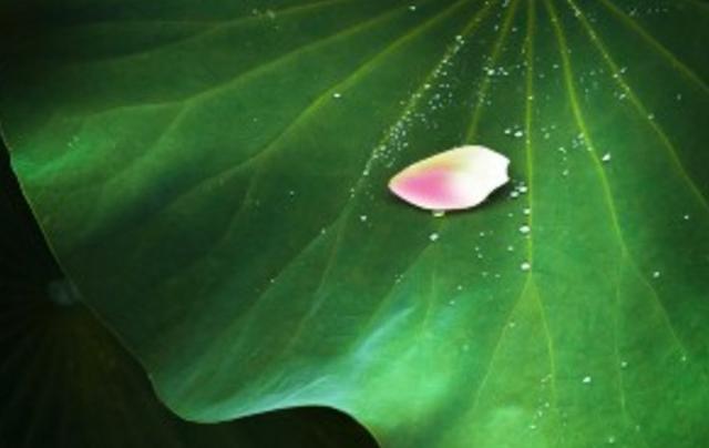 之所以有人不停的算計你，欺負你，一定是這五個方面出了問題