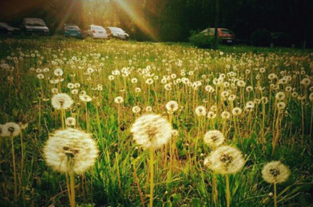 之所以有人不停的算計你，欺負你，一定是這五個方面出了問題