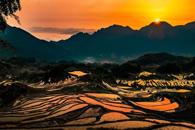 五月初夏，這些梯田如詩如畫！