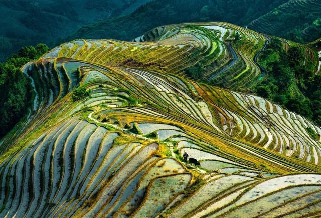五月初夏，這些梯田如詩如畫！