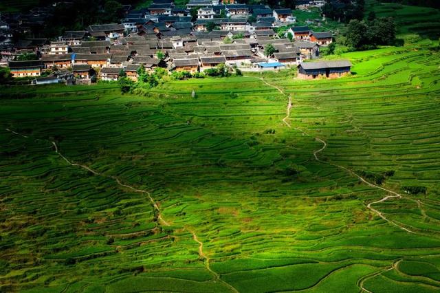 五月初夏，這些梯田如詩如畫！