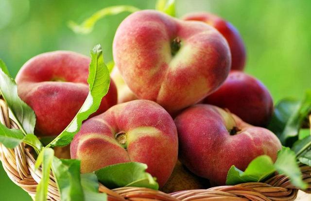 做人，要有良心，這三件事，千萬別做