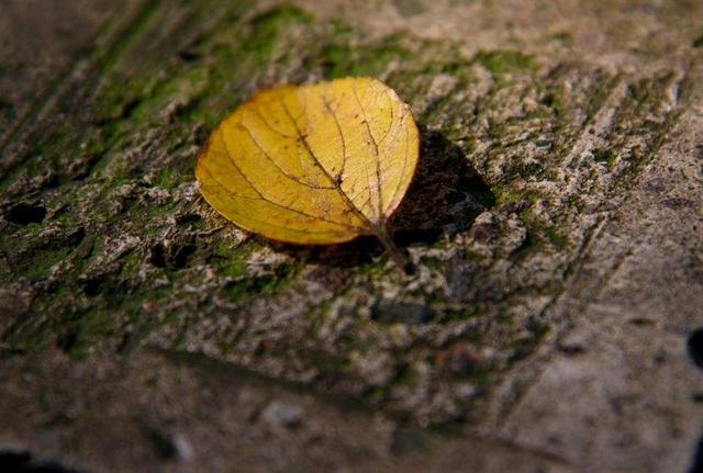 人到中年,溫柔一點