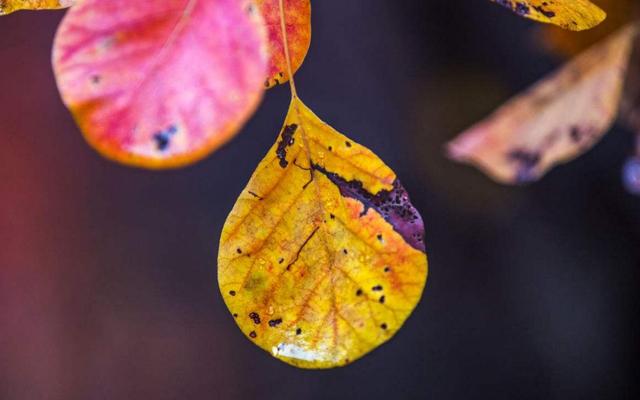 人到中年,溫柔一點