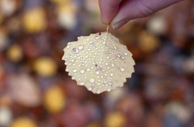 人到中年,溫柔一點