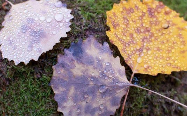 人到中年,溫柔一點