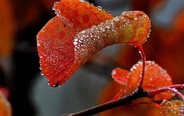 人到中年,溫柔一點