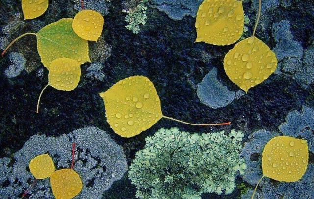 人到中年,溫柔一點