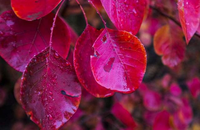 人到中年,溫柔一點