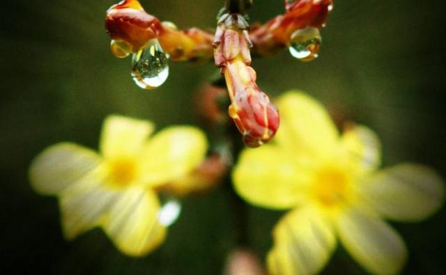 我們這麼忙，只為了能過上這樣的生活