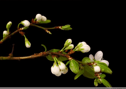 我們這麼忙，只為了能過上這樣的生活